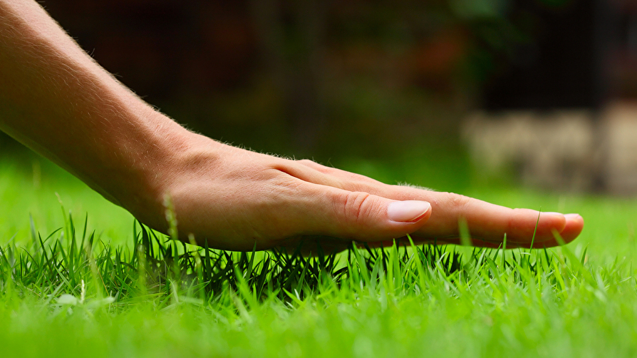 lawncare-company-athens.jpg