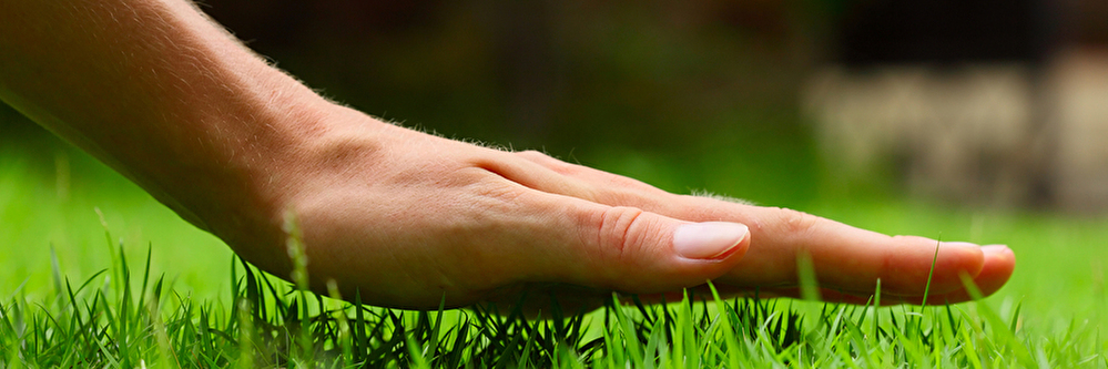 lawncare-company-athens.jpg