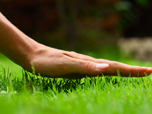 lawncare-company-athens.jpg